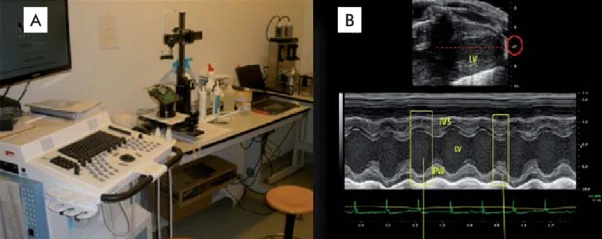 VisualSonics EVO 770 system